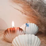SHELL CANDLE