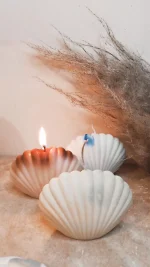 SHELL CANDLE