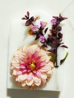 BARS FRESHNER - Image 3