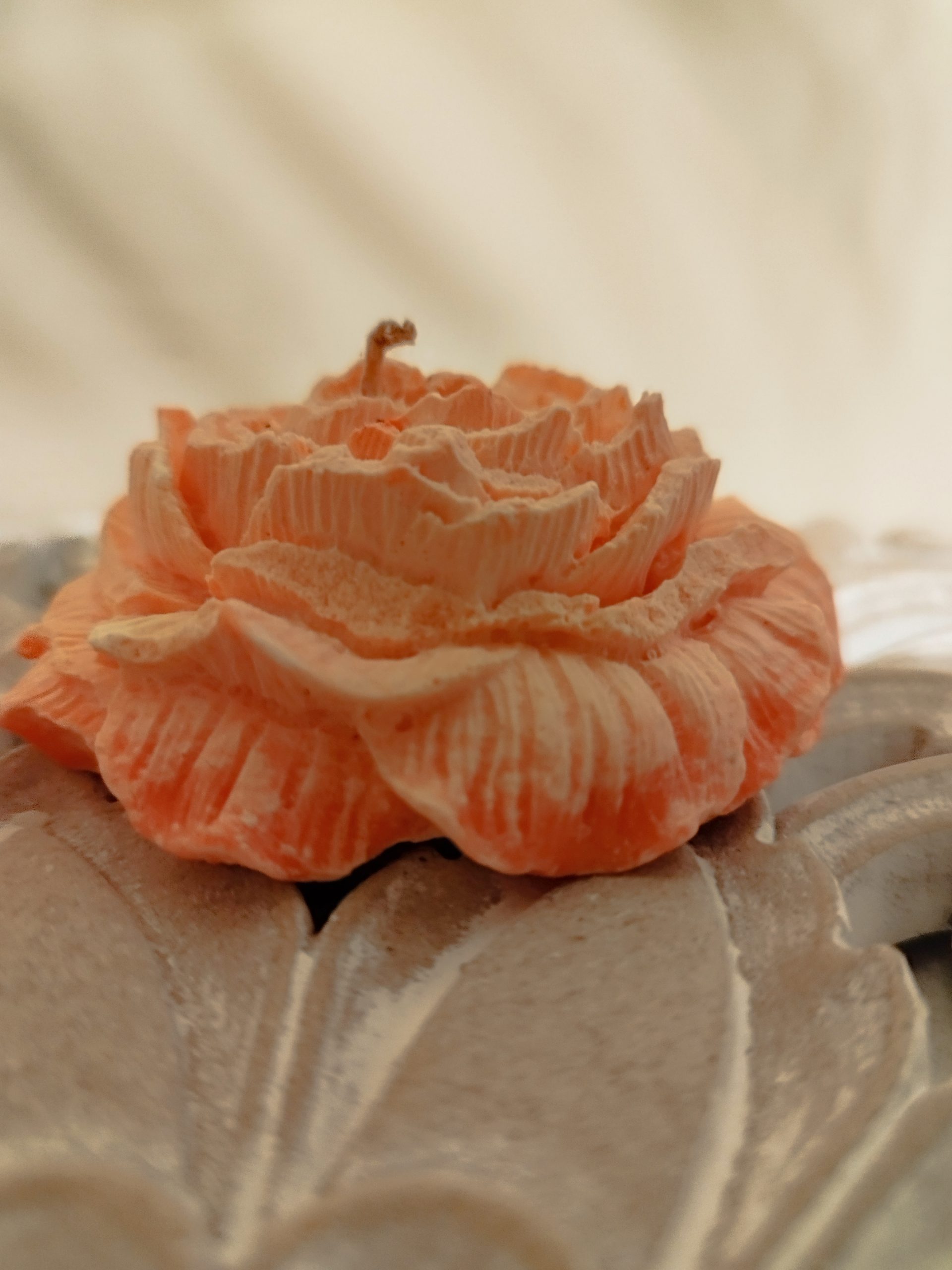 IMG_20240320_154207 PEONY FLOWER - Image 1