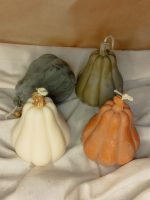 PUMPKIN MIDI - Image 3