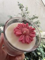 BLOSSOM- DAISY